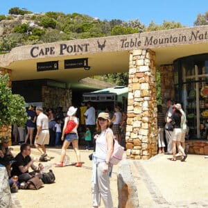 3-Day Cape Peninsula, Table Mountain & Private Safari Tour