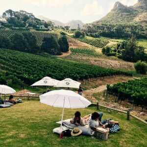 3-Day Cape Winelands, Aquila Safari & Robben Island Private Tour
