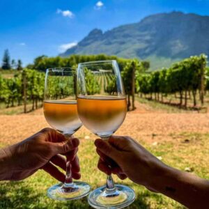 3-Day Safari and Wine Tour – Cape Town
